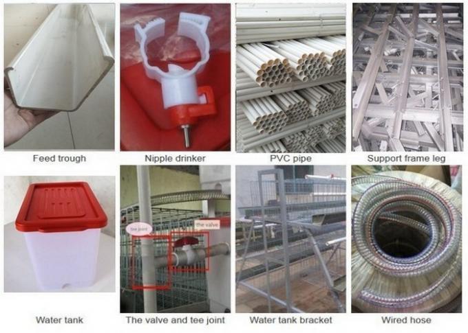 10000 Egg Layer Chicken Cage Poultry Farm Layer Cage Customized