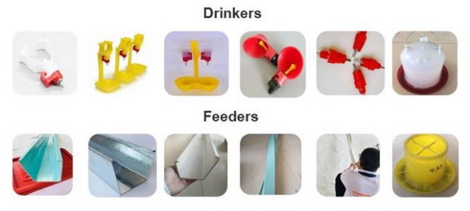 Poultry Farming Chicken Farm Cage Automatic Drinking System Eco