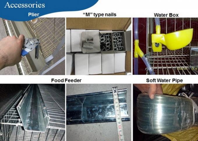 6 Floors Steel Quail Laying Cage Automatic Wire Quail Laying Cages