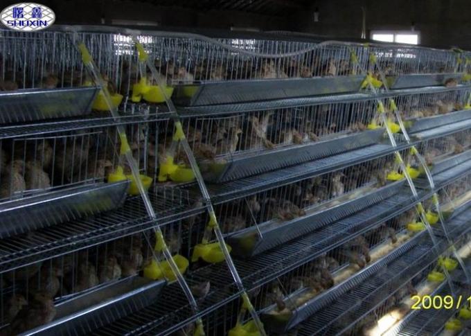 Metal Quail Breeding Cages 15 Years Lifetime with 3 Years Warranty