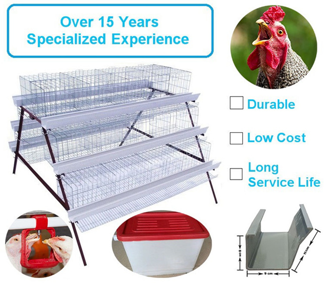 Steel Battery Type Breeding Cages Poultry Farming Equipment With Trough