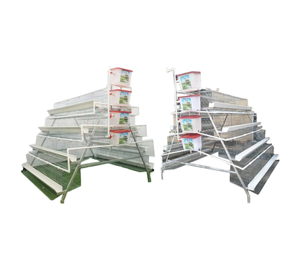 Hot Dip Galvanized Automated Layer Cages Side Ventilation Standard Export Packaging