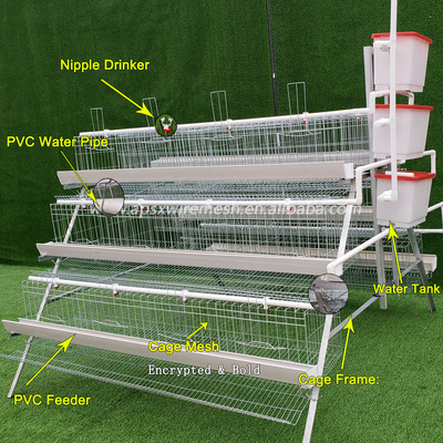 Hot Galvanized Wire Mesh Layer Chicken Cage Poultry Egg 96
