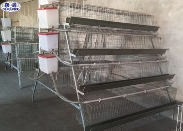 Four Layer Layer Chicken Cage , Automated Poultry Cages CE Certification