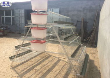 Hot Dip Galvanized Poultry Chicken Cages 96 Birds Capacity 3 Years Warranty