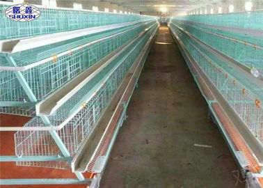 Full Automatic Layer Chicken Cage , Commercial Chicken Cages In Philippines