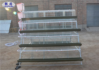 Galvanized Egg Laying Hens Cages With 128 Capacity In Kenya PVC Water Pipe