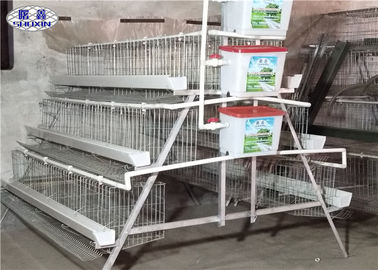 A Type Modern Chicken Cages Galvanized Surface SASO Certification