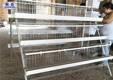 Three Tiers Layer Chicken Cage / 5 Cells Poultry Egg Layer Cages 120 Birds
