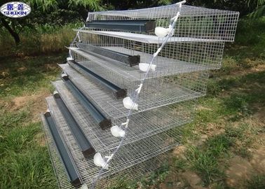 A Type Quail Battery Cages 6 Tiers Two Sides 800 Quails Capacity