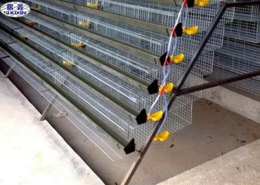 Automatic Quail Egg Laying Cages Battery Operated Design Customized Size