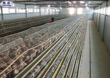 Simple Q235 Quail Laying Cage 800 Birds Capacity Long Working Using Life