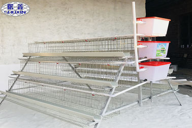 Small Poultry Chicken Cages , Poultry Farm Layer Cage Fast Delivery