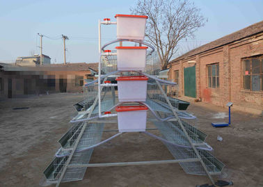 Professional Galvanized Chicken Breeding Cages , Poultry Laying Cages 2.15*2.4 *1.95m Size