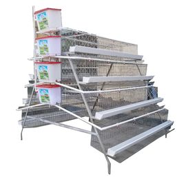 Type A Design Poultry Farm Cage , Poultry Egg Layer Cages For Laying Hens Ghana Farm