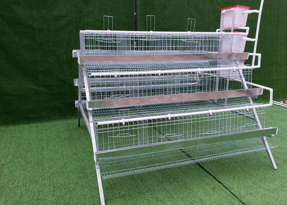 Q235 A Type 96 Birds Layer Hen Cages For Kenya Farm