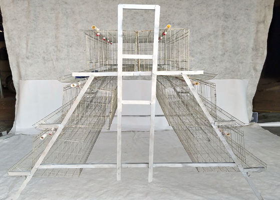 Type A Hot Galvanized Q235 Poultry Layer Cage