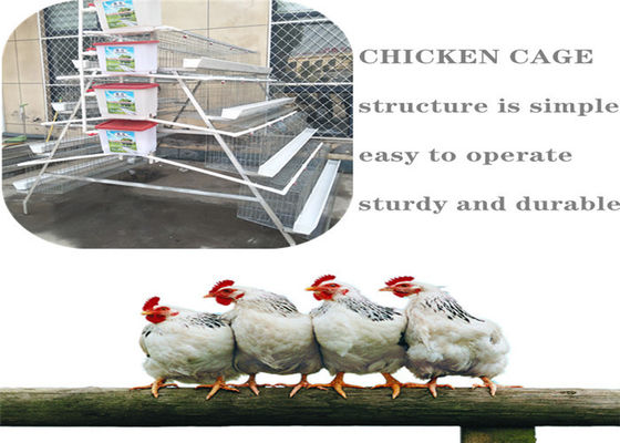 5 Tiers Farming Q235 Chicken Breeding Cage