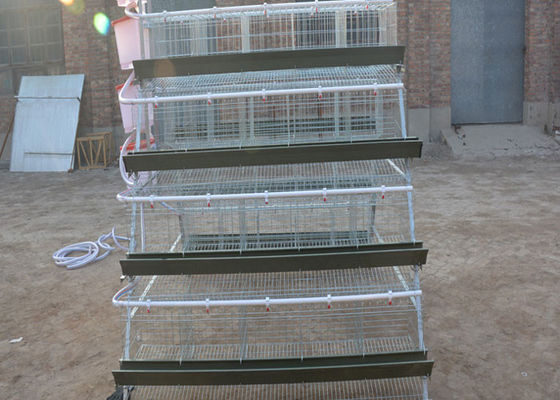 Animal Galvanized Poultry Farming Layer Chicken Cage