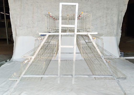 Galvanized Steel Layer Chicken Cage For Poultry Farming