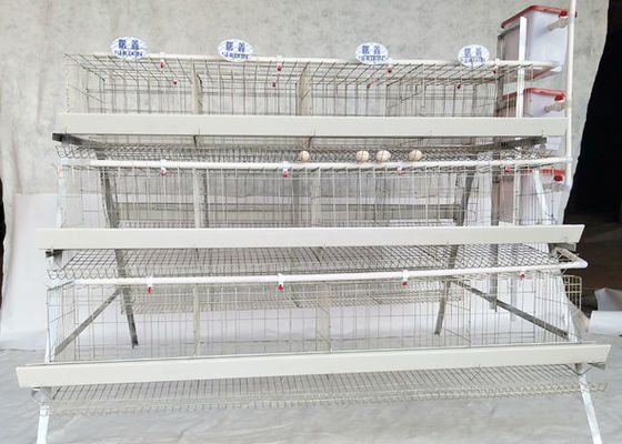 COC Type A Automatic Egg Hdg Layer Chicken Steel Cage