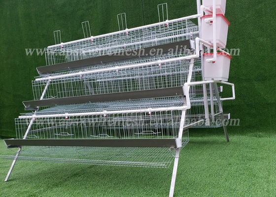 4 Tiers Hot Dipped Galvanized Automatic Steel Cage For Layers Chickens
