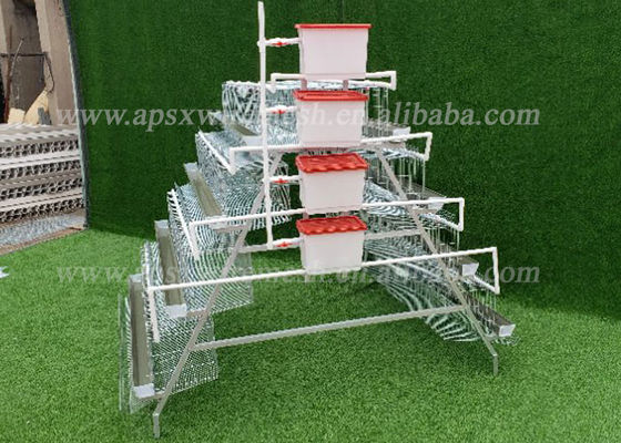 High Egg Production Hdg A Frame Layer Cages Automatic System For Commercial Chicken Farming