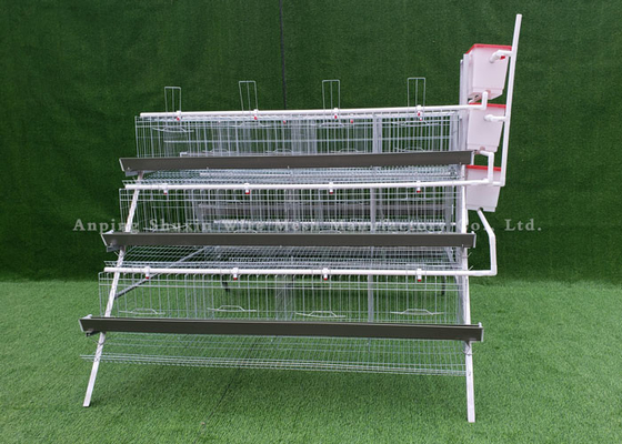 Poultry 3 / 4 Layers Automatic Layer Chicken Cage Galvanized