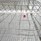Animal A Type Poultry Layer Cage Galvanized In Farm