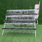 3 / 4 Tiers Layer Chicken Cage Galvanized Poultry Automatic Water System