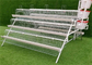 Q235 Steel Wire Chicken Egg Laying Cages Space Saving Long Time Used