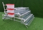 High Strength 3tiers 4room Layer Chicken Cage Suitable For Small Farms