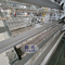 Automatic 160 Birds Layer Poultry Farm Cage For Egg Layers