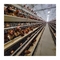Galvanized Steel Chicken Laying Eggs Cage Large Capacity 96-160 Chickens