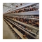 H Type Automatic Layer Chicken Cage Poultry Equipment For Egg Production