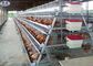 Galvanized Laying Hens Cages 4 Tiers 128 Birds Capacity Automatic System