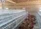 Egg Layer Chicken Cage , Hens Poultry Metal Chicken Cage For Kenya