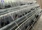Large Poultry Chicken Cages , Poultry Layer Cage Design Galvanized Surface