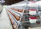 Galvanized Battery Layer Cage Anti - Rust Feature Easy Installation