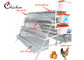 Automatic Chicken Layer Battery Cage , Q235 Steel Modern Chicken Cages