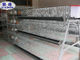 Professional Automatic Layer Chicken Cage For Commercial Chicken Farm