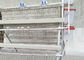 Hot Dipped Galvanized Wire Mesh Poultry Hen Layer Chicken Cage