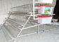 Hot Dip Galvanized 96 Birds Capacity Poultry Chicken Cage PVC Coated