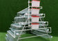 Automatic Drinking Galvanised 2.8mm Layer Chicken Cage