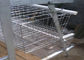 3 Tiers 3.0mm Hot Galvanized Poultry Layer Cage