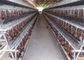 Automatic System Q235 4 Tiers Layer Chicken Cage For Farm