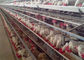 Automatic 4 Tiers 128 Birds Poultry Chicken Cages