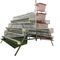 HDG Automatic A Type Chicken Layer Cage For Poultry Farm