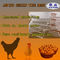 HDG Automatic A Type Chicken Layer Cage For Poultry Farm