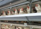 A Type 96 Birds Hens Egg Laying Galvanized Cage For Layer Farming